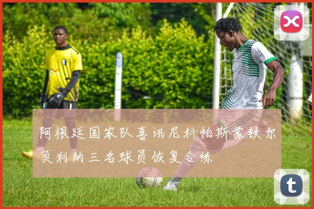 阿根廷国家队喜讯尼科帕斯蒙铁尔莫利纳三名球员恢复合练